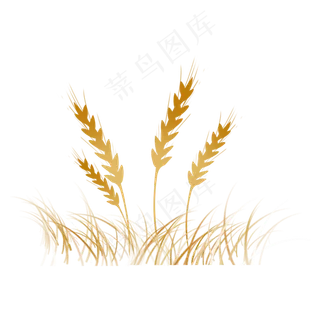 立秋黄色小麦丰收季节扁平画风