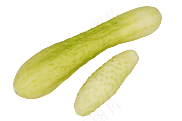 新鲜果蔬黄瓜(3000*2000px 300 dpi )