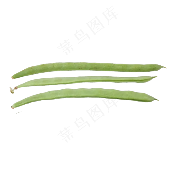 扁豆（png免抠）(2000X2000(DPI:72))psd模版下载