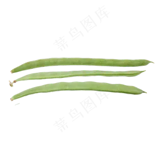 扁豆（png免抠）