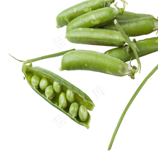 绿色创意绿豆食物元素