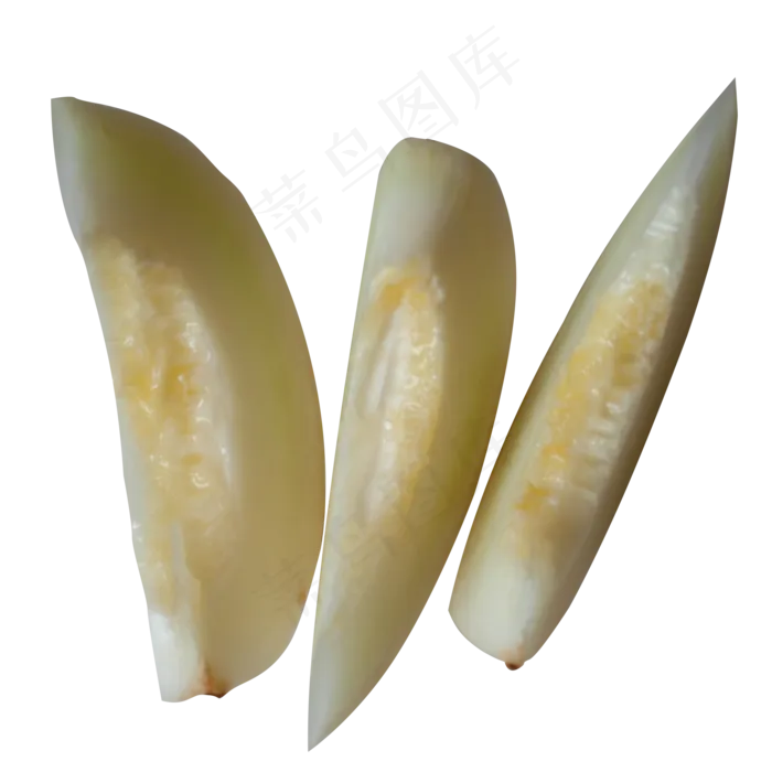 甜瓜水果摄影甜多汁PNG素材(3545X5315(DPI:300))