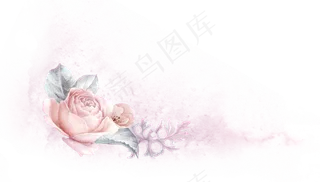 手绘粉色花卉花框设计,免抠元素