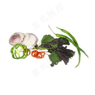 洋葱甘蓝辣椒组合