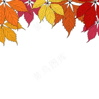 白色背景上的秋叶插图