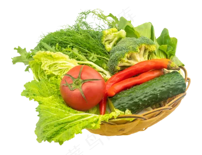 新鲜营养蔬菜组合