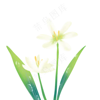 寒露花草露珠 寒露花草露珠