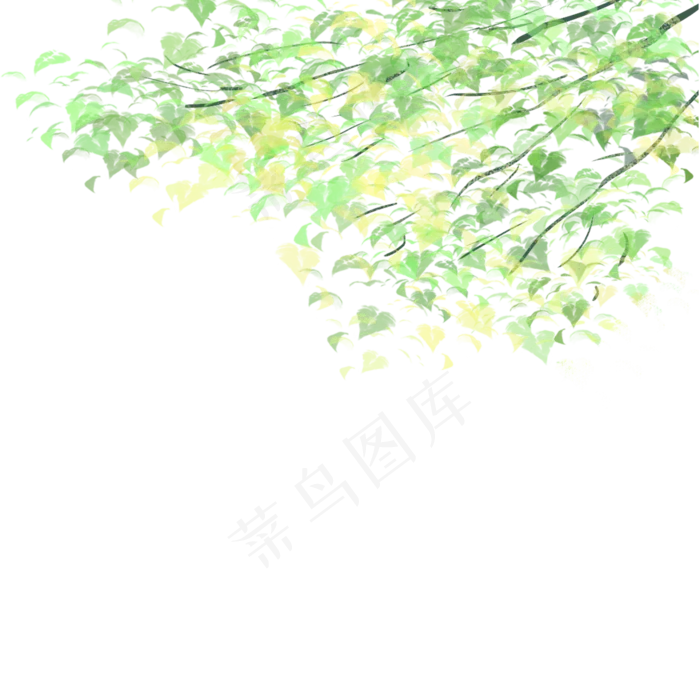 美丽的树枝(2000X2000(DPI:300))psd模版下载