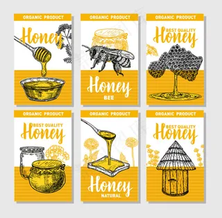 手绘蜂蜜海报套装。素描复古风格。收集6个可爱的卡片模板与手绘插图。卡片设计模板。复古背景。