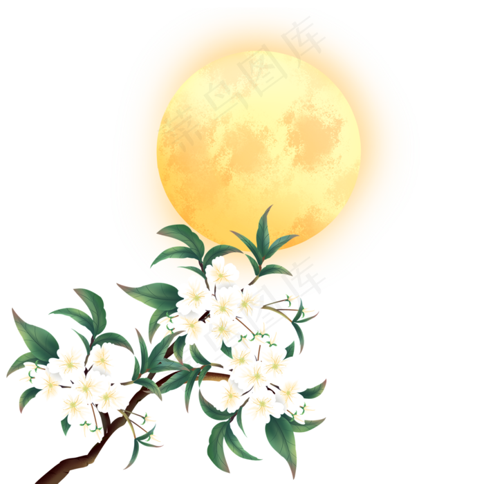中秋桂花赏月中秋节