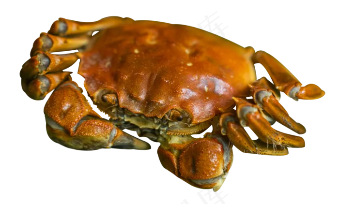 大闸蟹美食(3000X1809(DPI:300))psd模版下载