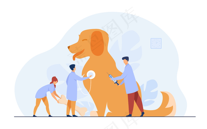 兽医办公室里的小医生照顾狗