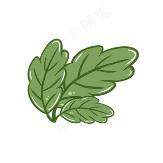 手绘24节气之白露清新绿植