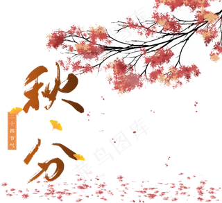 秋分枫树枫叶飘落