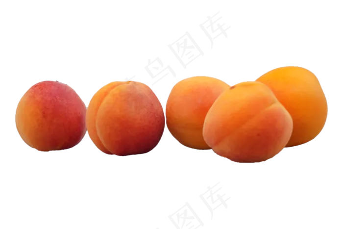 水果黄色大杏(3000*2000px 300 dpi )
