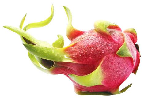 火龙果 红心火龙果 水果