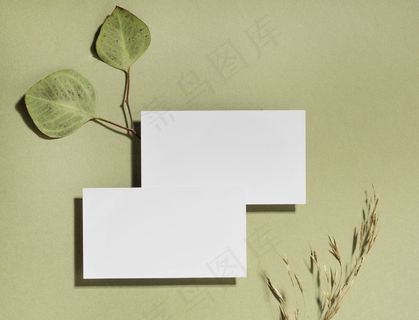 上图：带叶子的名片