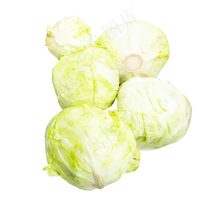 新鲜蔬菜包菜(4724X4724(DPI:300))
