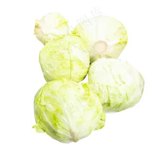 新鲜蔬菜包菜 新鲜蔬菜包菜