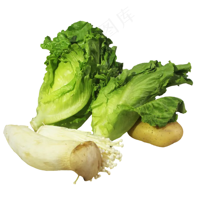生菜土豆蔬菜菌类组合(3000X4210(DPI:3000))
