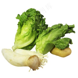 生菜土豆蔬菜菌类组合