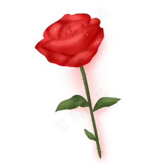 大红色七夕节玫瑰花