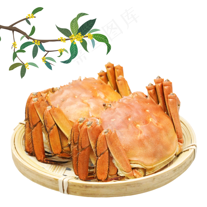 中秋节团圆节大闸蟹桂花