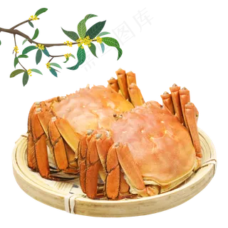 中秋节团圆节大闸蟹桂花