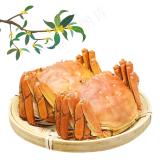 中秋节团圆节大闸蟹桂花