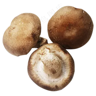 三个香菇