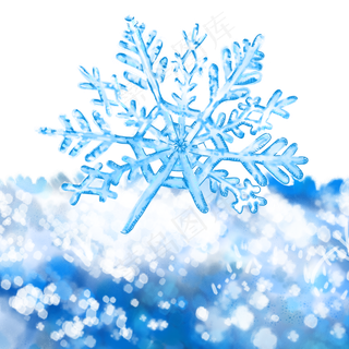 冬天冬季立冬冬至雪花