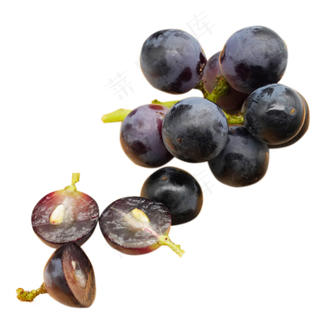 水果紫色葡萄