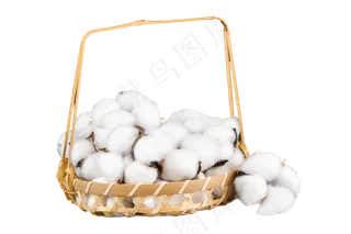 一筐梅花长绒棉