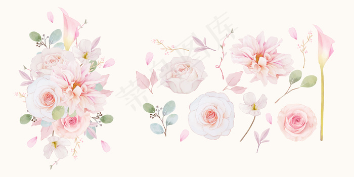 设置粉色玫瑰、大丽花和百合花的水彩元素eps,ai矢量模版下载