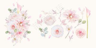 设置粉色玫瑰、大丽花和百合花的水彩元素