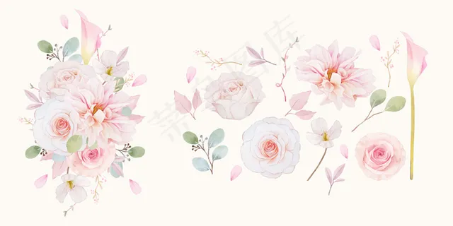 设置粉色玫瑰、大丽花和百合花的水彩元素 设置粉色玫瑰、大丽花和百合花的水彩元素