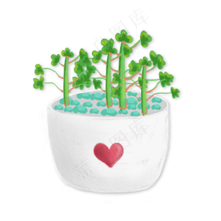 情人节爱心盆栽绿植