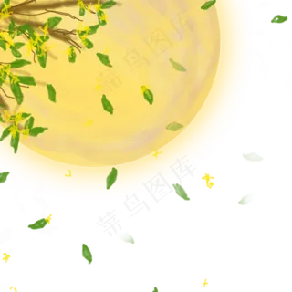 月亮桂树 月亮桂树
