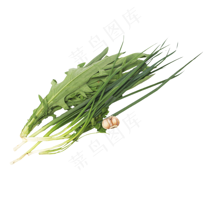 油麦菜葱大蒜蔬菜组合