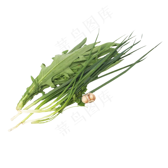 油麦菜葱大蒜蔬菜组合(2000X2000(DPI:300))