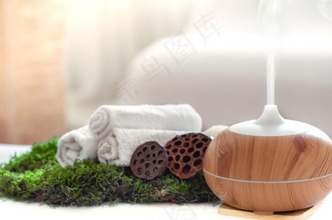Spa成分带有现代精油扩散器和身体护理产品的香气