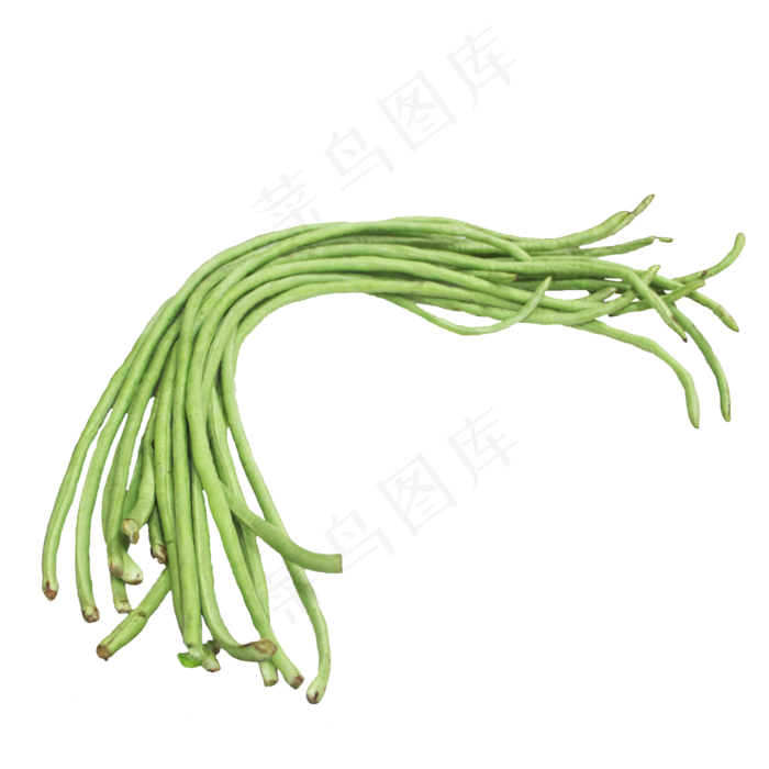 食材蔬菜豆角(2000X2000(DPI:96))