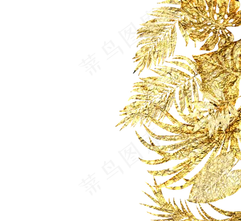 金色复合植物边框元素 金色复合植物边框元素