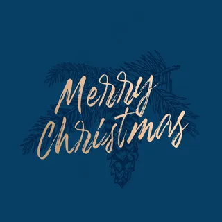 圣诞快乐抽象复古标签，标志或卡片模板。