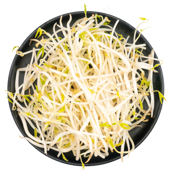 黑色盘子绿豆芽(2000*2000px 300 dpi )