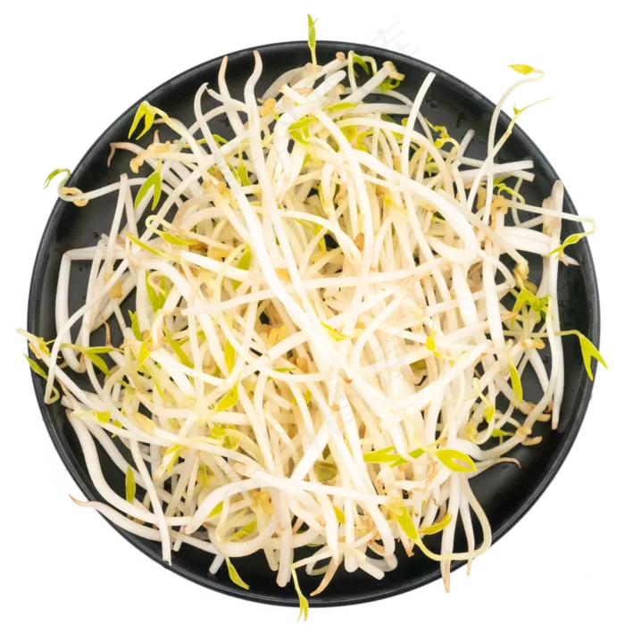黑色盘子绿豆芽(2000*2000px 300 dpi )