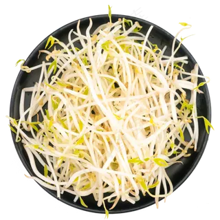 黑色盘子绿豆芽