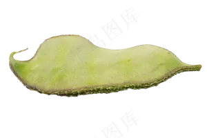 绿色蔬菜扁豆