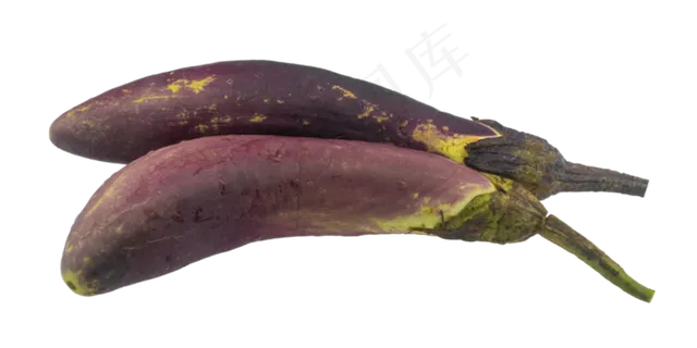 两个蔬菜茄子 两个蔬菜茄子