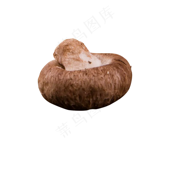 灰色圆弧香菇食物元素(2000X2000(DPI:300))psd模版下载
